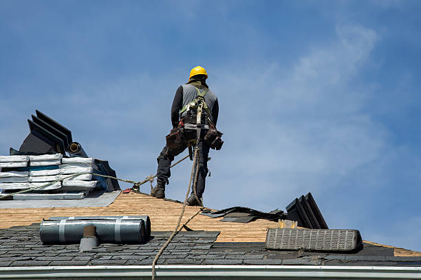 Professional Roofing technician working in Delphia, KY